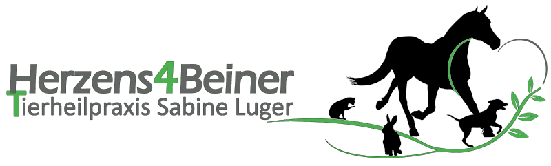 Herzens4Beiner. Tierheilpraktikerin in Regensburg.