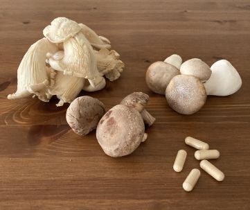 Tierheilpraxis Wilke - Vitalpilze